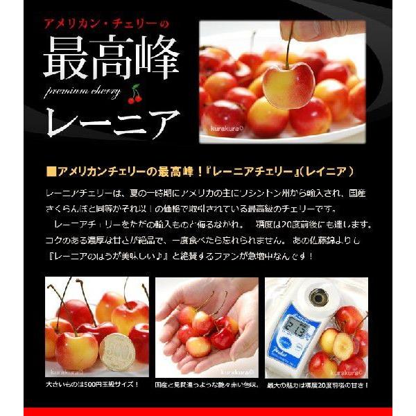 レーニア チェリー GEE WHIZ (ジーウィズ) (約1kg) アメリカワシントン州産 レイニア オービル農園 オービルフルーツ社 さくらんぼ チェリー アメリカンチェリー_2