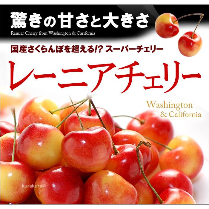 レーニア チェリー GEE WHIZ (ジーウィズ) (約1kg) アメリカワシントン州産 レイニア オービル農園 オービルフルーツ社 さくらんぼ チェリー アメリカンチェリー_1