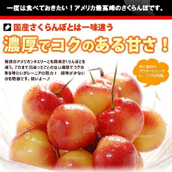 レーニア チェリー GEE WHIZ (ジーウィズ) (約1kg) アメリカワシントン州産 レイニア オービル農園 オービルフルーツ社 さくらんぼ チェリー アメリカンチェリー_3