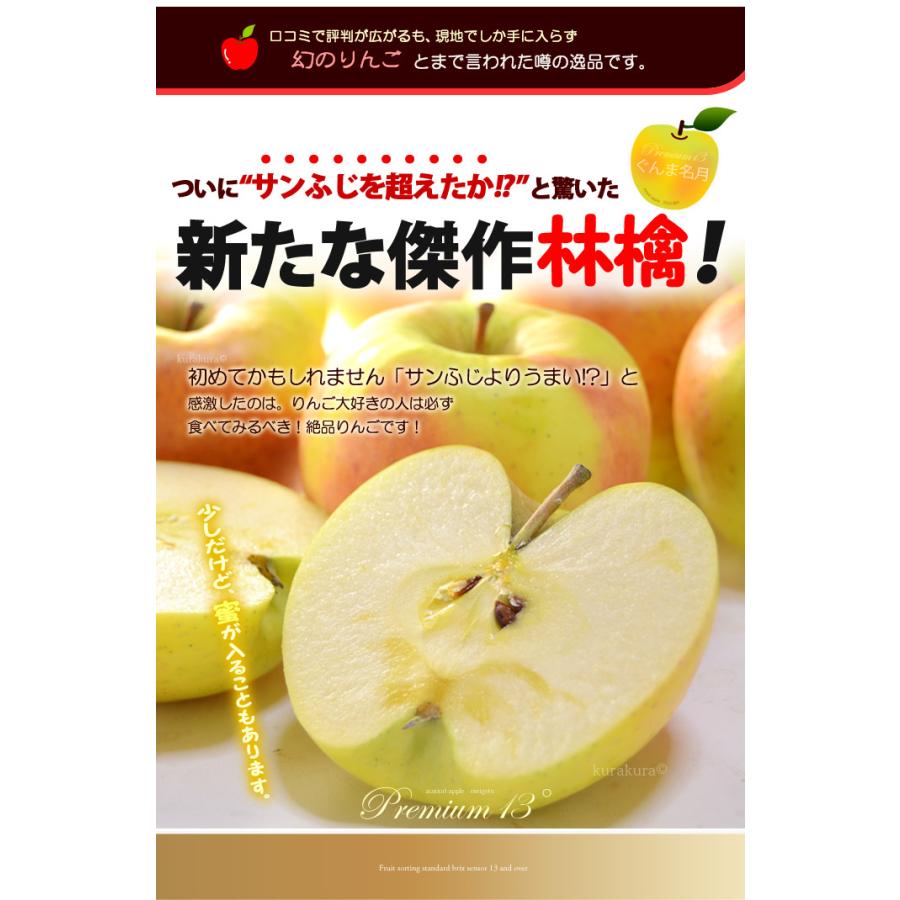ぐんま名月 りんご (約2.7kg) 青森産 秀品 名月りんご めいげつ