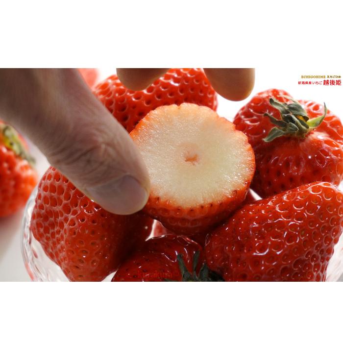 越後姫 いちご (約450g) 新潟産 イチゴ 苺 ギフト 贈答用 甘い 越後姫 いちご (約450g) 新潟産 イチゴ 苺 ギフト 贈答用 甘い