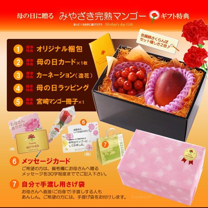 遅れてごめんね！ 母の日 ギフト 宮崎マンゴー (2L×1玉/約350g以上) と 訳あり 宮崎県産完熟マンゴー 6.1Kg