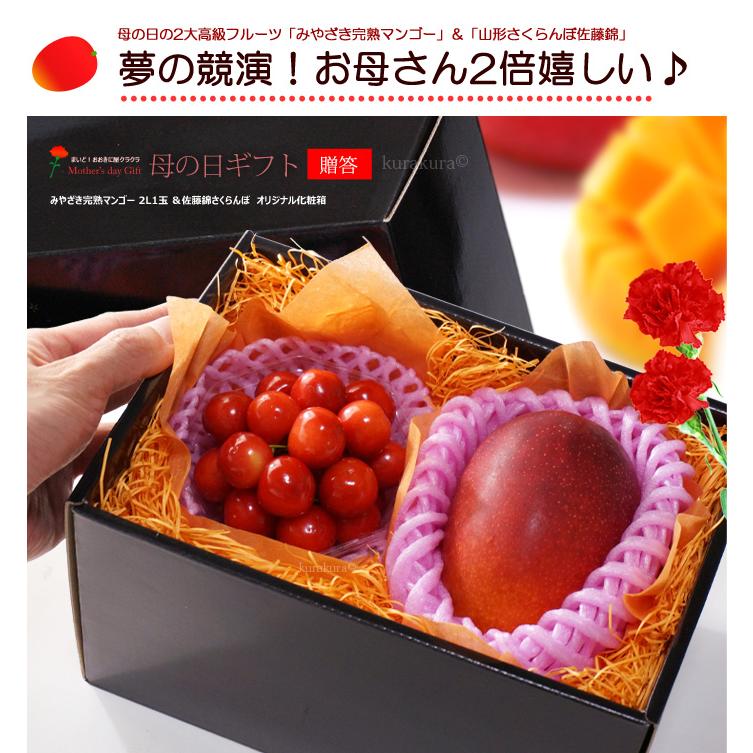 遅れてごめんね！ 母の日 ギフト 宮崎マンゴー (2L×1玉/約350g以上) と 訳あり 宮崎県産完熟マンゴー 6.1Kg