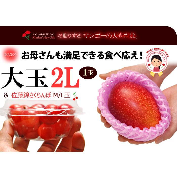 母の日 ギフト 太陽のタマゴ (2L×1玉/約350g以上) と 山形