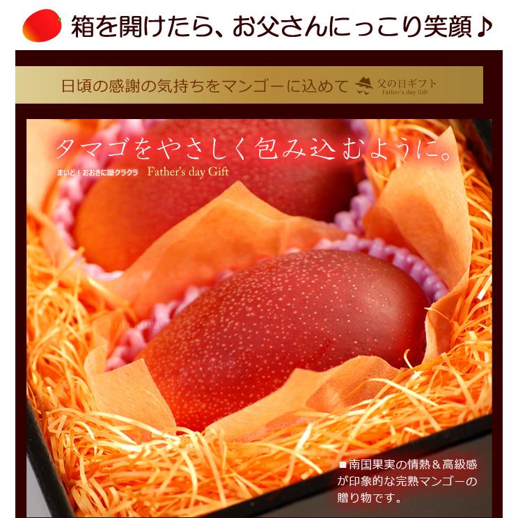 父の日 ギフト 太陽のタマゴ (4L×2玉/約1020g) 宮崎産 秀品 父の日ギフト 太陽のたまご 宮崎 宮崎マンゴー 完熟マンゴー 国産マンゴー アップルマンゴー｜ookiniya｜04