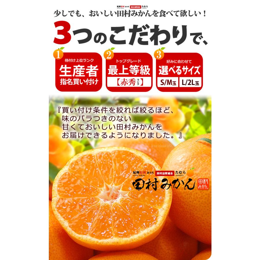 田村みかん 佐助 他2名 赤秀 (約10kg) 和歌山有田産 生産者限定 さすけ