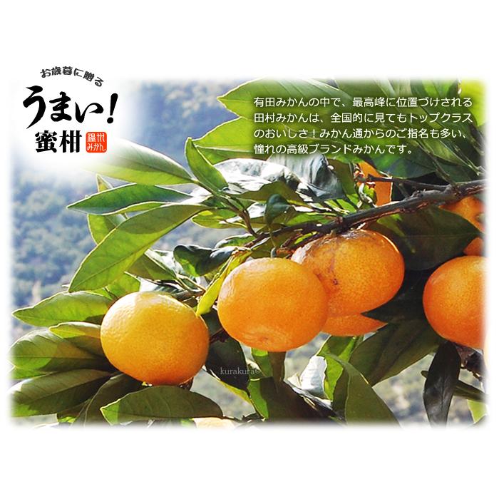 田村みかん 佐助 他2名 赤秀 (約10kg) 和歌山有田産 生産者限定 さすけ