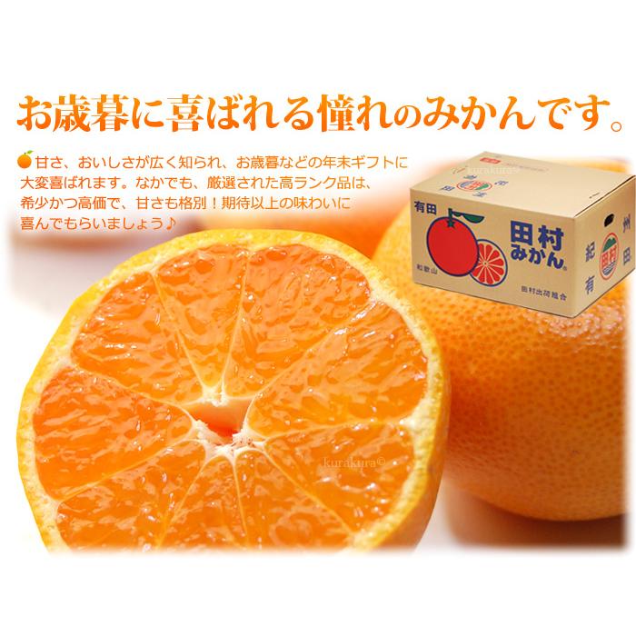 田村みかん 佐助 他2名 赤秀 (約10kg) 和歌山有田産 生産者限定 さすけ