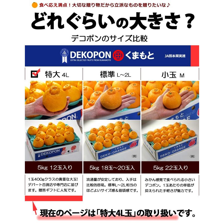 ハウス デコポン 4L 12玉前後 (約5kg) 熊本産 贈答 化粧箱 ギフト 糖度