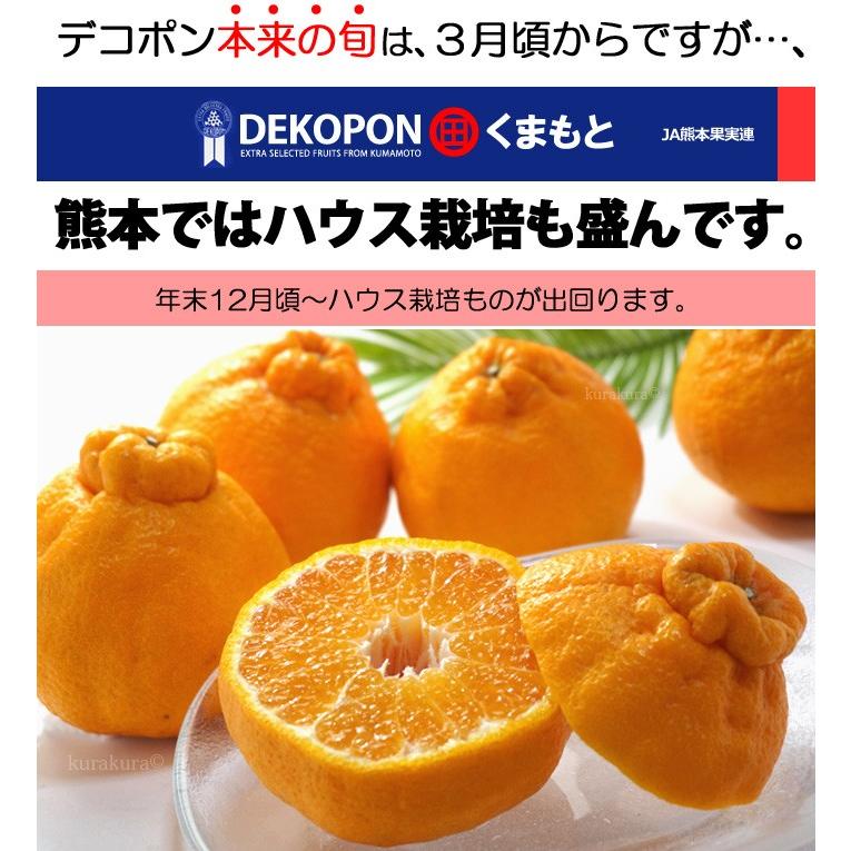 ハウス デコポン 4L 12玉前後 (約5kg) 熊本産 贈答 化粧箱 ギフト 糖度