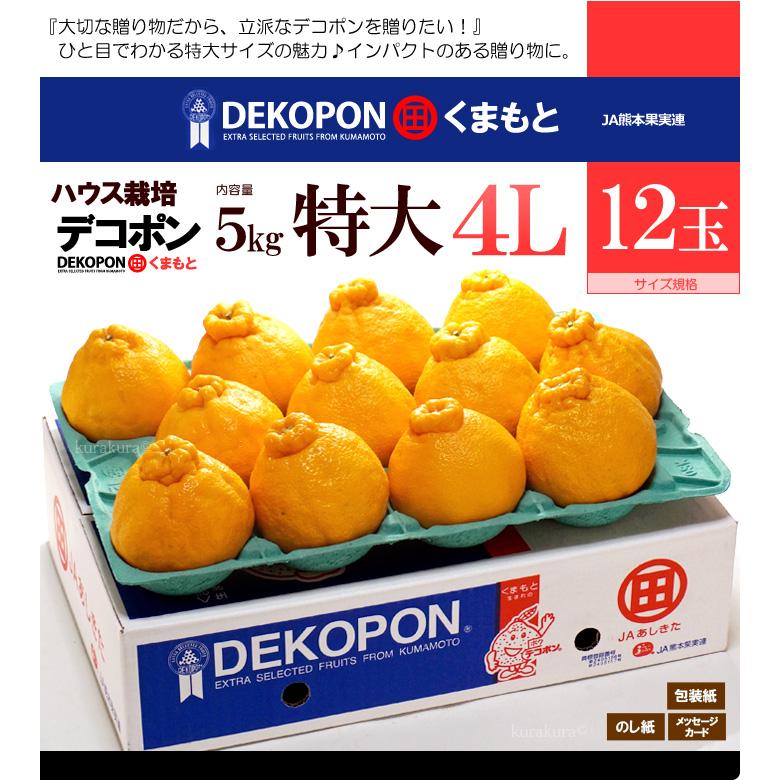 ハウス デコポン 4L 12玉前後 (約5kg) 熊本産 贈答 化粧箱 ギフト 糖度