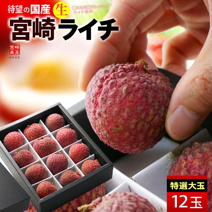 大変希少な宮崎産生ライチ 一度も冷凍しないフレッシュ生果実 ギガランキングｊｐ