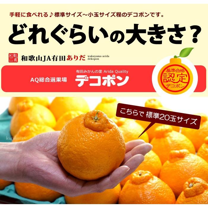 有田 デコポン (20-24玉/約5kg) 和歌山産 でこぽん 秀品 贈答 ギフト