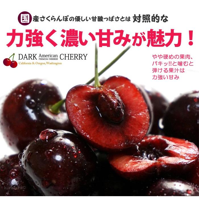 アメリカンチェリー ビング種 (約3kg) ワシントン州産 大粒 10.5R