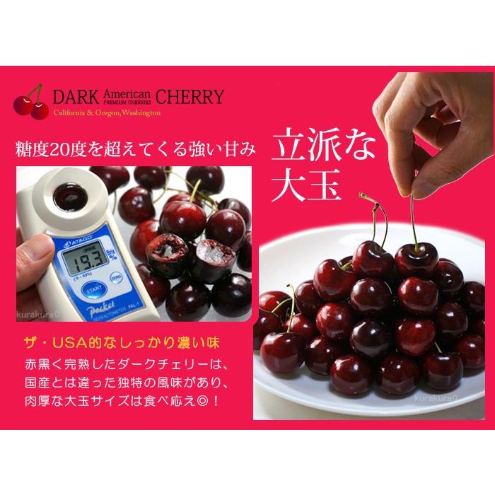 アメリカンチェリー ビング種 (約3kg) ワシントン州産 大粒 10.5R チェリー ダークチェリー アメチェ さくらんぼ サクランボ 食品 フルーツ 果物 ギフト 贈答_2