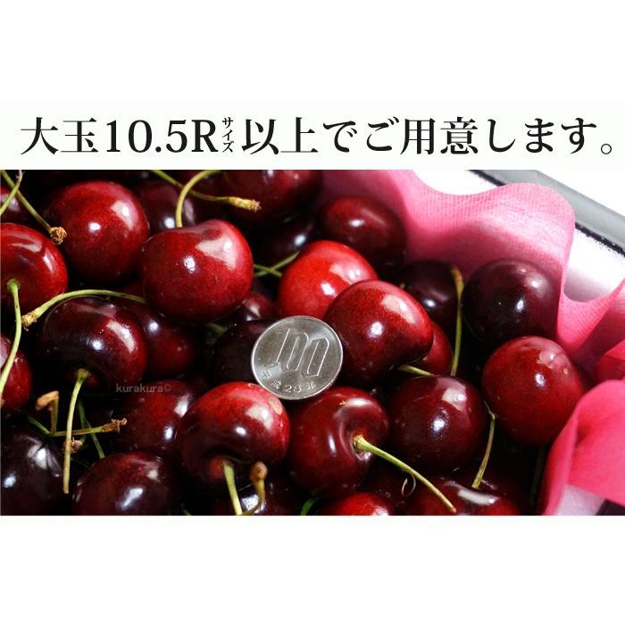 ミーナファーム プレミアムチェリー 8kg アメリカンチェリー