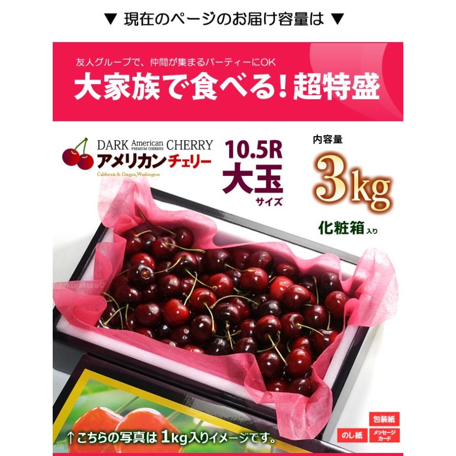 アメリカンチェリー ビング種 (約3kg) ワシントン州産 大粒 10.5R チェリー ダークチェリー アメチェ さくらんぼ サクランボ 食品 フルーツ 果物 ギフト 贈答_5