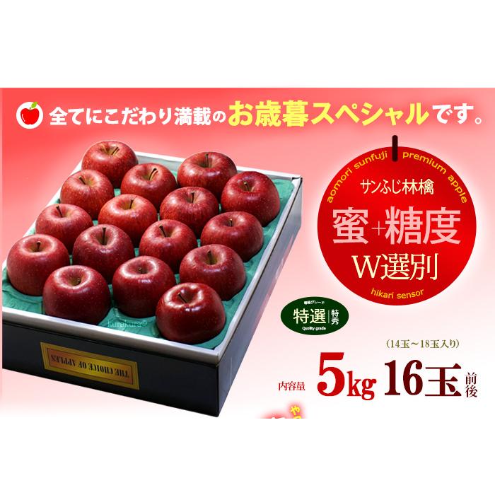 5プレミアム サンふじ りんご (約5kg) 青森・岩手産 大玉 サンフジ