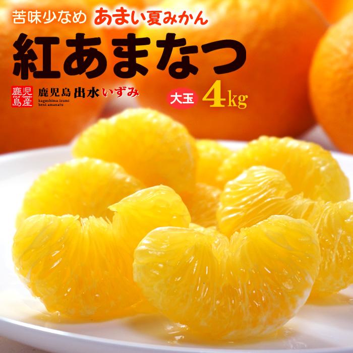 紅甘夏みかん 2L-3L (約4kg) 鹿児島産 紅あまなつ 紅甘夏 甘 紅甘夏みかん 2L-3L (約4kg) 鹿児島産 紅あまなつ 紅甘夏 甘