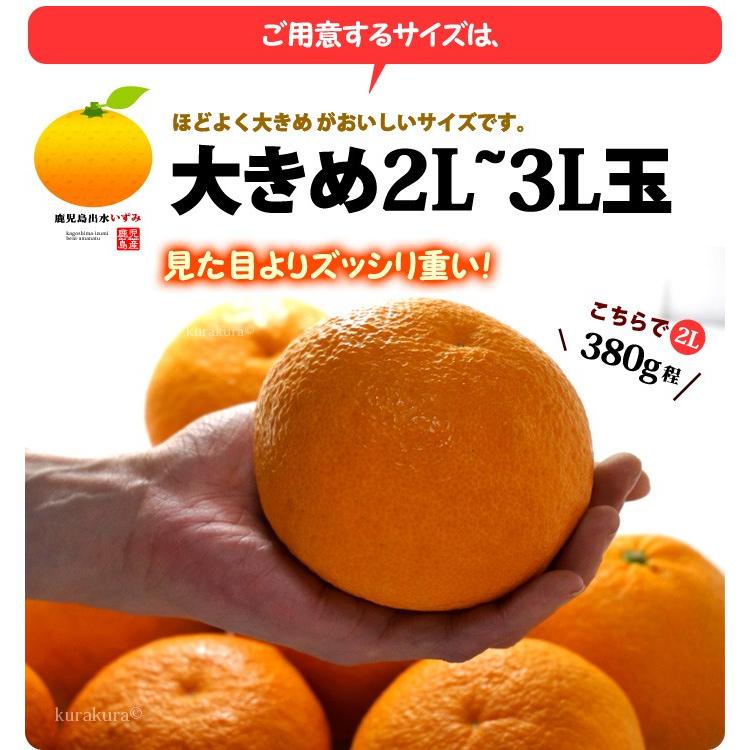 紅甘夏みかん 2L-3L (約4kg) 鹿児島産 紅あまなつ 紅甘夏 甘 紅甘夏みかん 2L-3L (約4kg) 鹿児島産 紅あまなつ 紅甘夏 甘