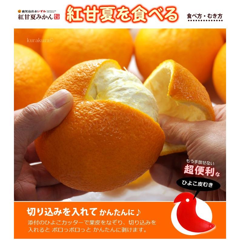 紅甘夏みかん 2L-3L (約4kg) 鹿児島産 紅あまなつ 紅甘夏 甘 紅甘夏みかん 2L-3L (約4kg) 鹿児島産 紅あまなつ 紅甘夏 甘