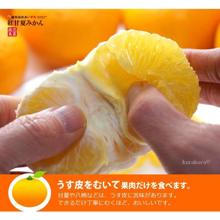 紅甘夏みかん 2L-3L (約4kg) 鹿児島産 紅あまなつ 紅甘夏 甘 紅甘夏みかん 2L-3L (約4kg) 鹿児島産 紅あまなつ 紅甘夏 甘