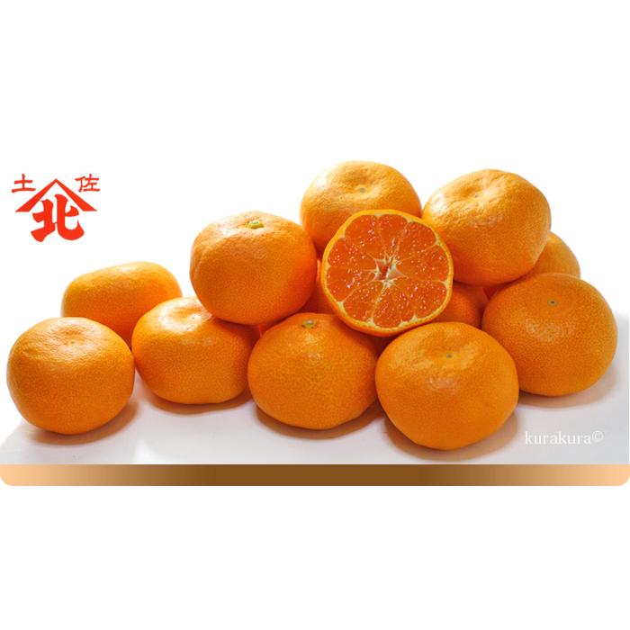 ハウスみかん 山北みかん (約5kg) 高知産 温室みかん 秀品 S M 小玉 光 