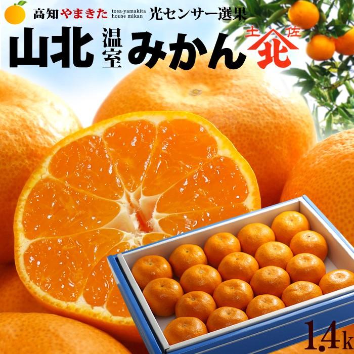 ハウスみかん 山北みかん (約1.4kg) 高知産 温室みかん 秀品 S M 小玉 光センサー ハウス栽培 温室みかん部会 フルーツ 果物 みかん 温州みかん ミカン 蜜柑｜ookiniya