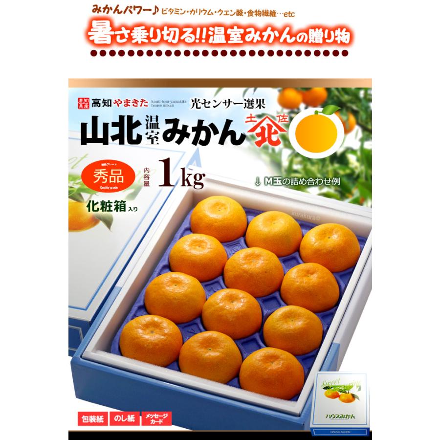 ハウスみかん 山北みかん (約1kg) 高知産 温室みかん 秀品 S M ハウスみかん 山北みかん (約1kg) 高知産 温室みかん 秀品 S M