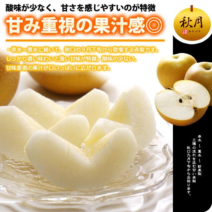 甘熟 あきづき 秋月梨 3L-5L (約5kg) 産地お任せ 秀品 梨 なし