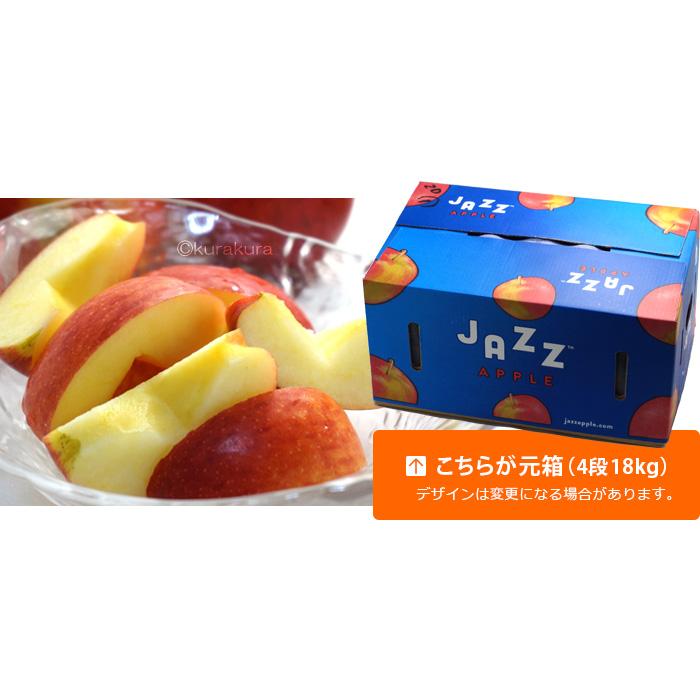 jazz りんご (約18kg) ニュージーランド産 ジャズ りんご リンゴ 林檎 jazz apple 食品 フルーツ 果物 輸入 高糖度 甘い ジャズりんご 小玉｜ookiniya｜12