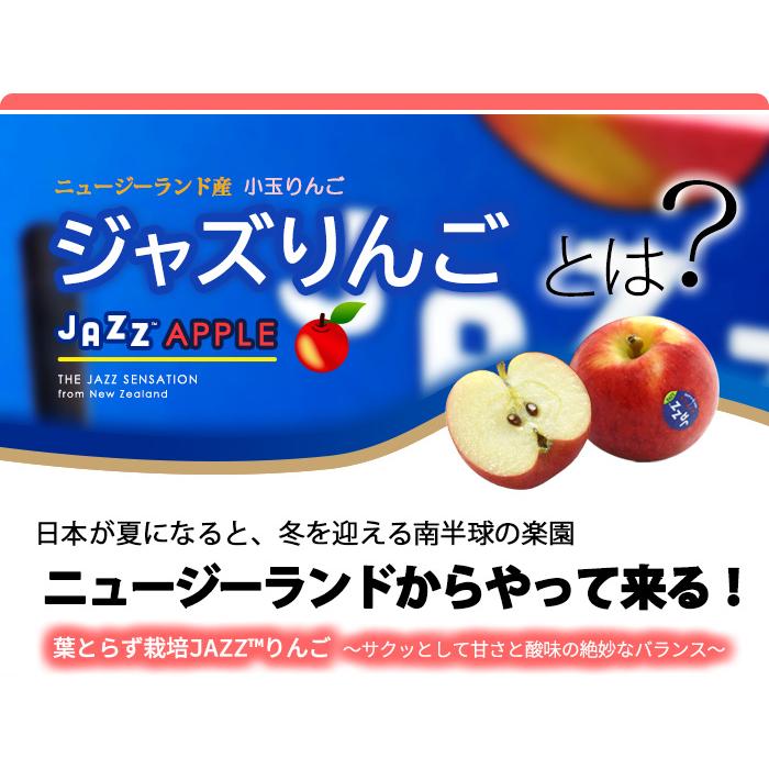 jazz りんご (約18kg) ニュージーランド産 ジャズ りんご リンゴ 林檎 jazz apple 食品 フルーツ 果物 輸入 高糖度 甘い ジャズりんご 小玉｜ookiniya｜04