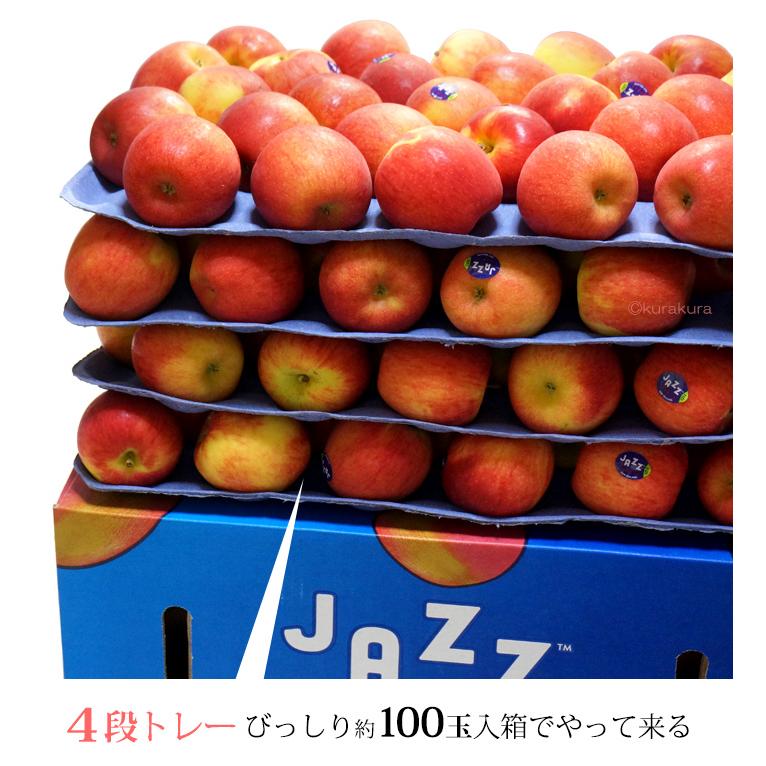 jazz りんご (約18kg) ニュージーランド産 ジャズ りんご リンゴ 林檎 jazz apple 食品 フルーツ 果物 輸入 高糖度 甘い ジャズりんご 小玉｜ookiniya｜09