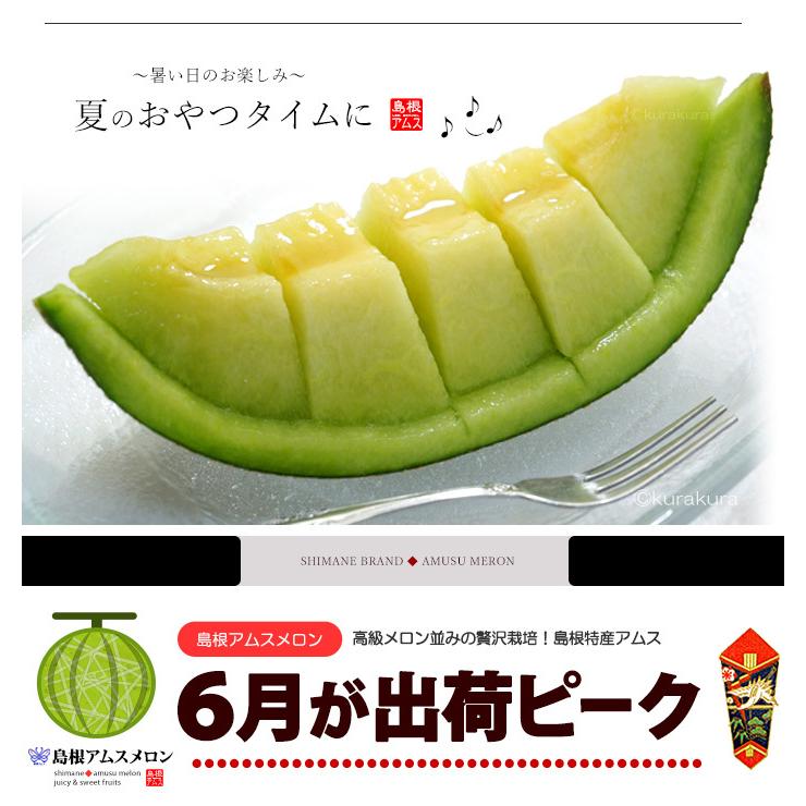 アムスメロン 4L×2玉 (約2.5kg) 島根産 赤秀 青肉 アムス メロン 益田