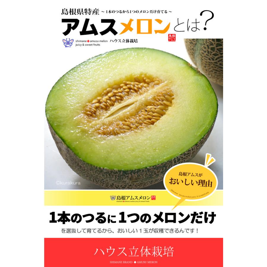 アムスメロン 4L×2玉 (約2.5kg) 島根産 赤秀 青肉 アムス メロン 益田