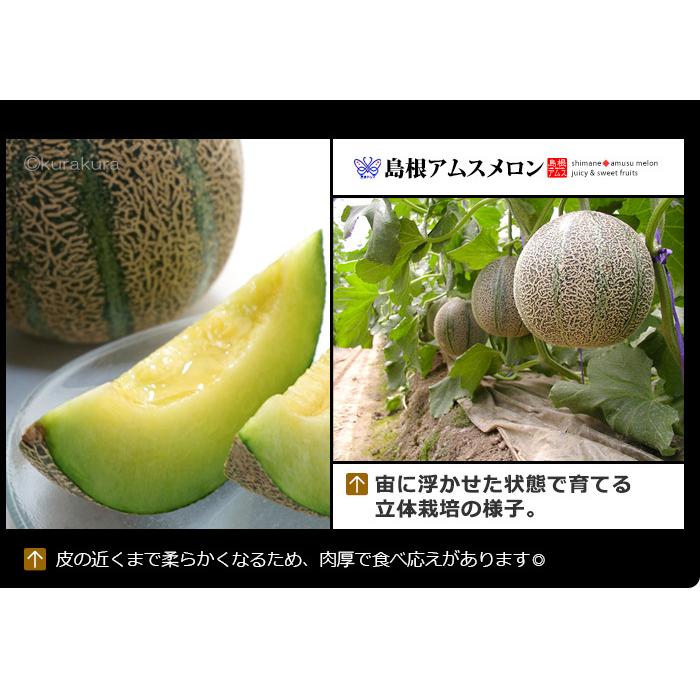 アムスメロン 4L×2玉 (約2.5kg) 島根産 赤秀 青肉 アムス メロン アムスメロン 4L×2玉 (約2.5kg) 島根産 赤秀 青肉 アムス メロン