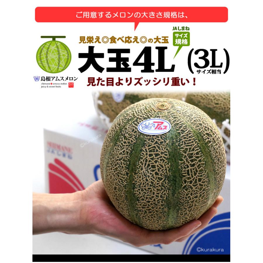 アムスメロン 4L×2玉 (約2.5kg) 島根産 赤秀 青肉 アムス メロン アムスメロン 4L×2玉 (約2.5kg) 島根産 赤秀 青肉 アムス メロン