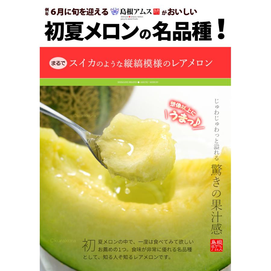 アムスメロン 4L×4玉 (約5kg) 島根産 赤秀 青肉 アムス メロン アムスメロン 4L×4玉 (約5kg) 島根産 赤秀 青肉 アムス メロン