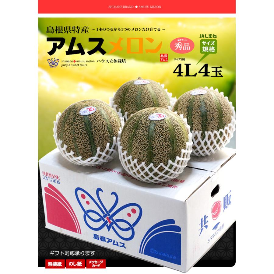 アムスメロン 4L×4玉 (約5kg) 島根産 赤秀 青肉 アムス メロン アムスメロン 4L×4玉 (約5kg) 島根産 赤秀 青肉 アムス メロン