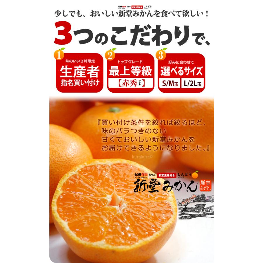 有田みかん 新堂みかん 嘉七 他1名 赤秀 (約5kg) 和歌山 有田産 生産者