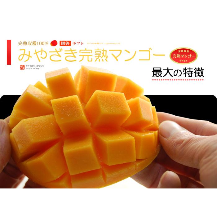 宮崎マンゴー (4L/約510g) 宮崎産 赤秀〜青秀 宮崎完熟マンゴー 国産
