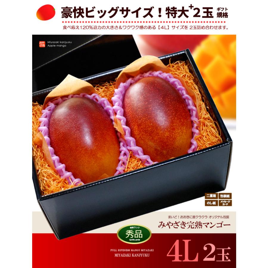 宮崎マンゴー (4L×2玉/約1020g) 宮崎産 赤秀〜青秀 完熟マンゴー 宮崎マンゴー (4L×2玉/約1020g) 宮崎産 赤秀〜青秀 完熟マンゴー
