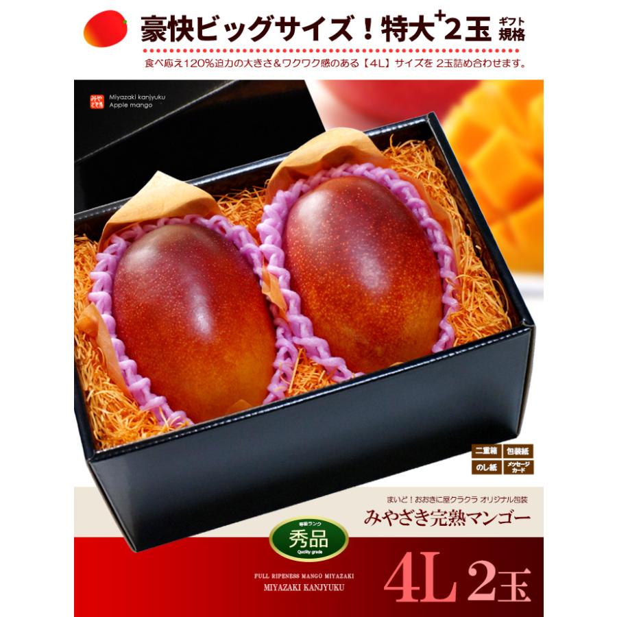 宮崎マンゴー (4L×2玉/約1020g) 宮崎産 秀品 宮崎完熟マンゴー 国産マンゴー アップルマンゴー アーウィン種 ギフト 贈答 国産 高糖度 マンゴー 母の日 父の日｜ookiniya｜11