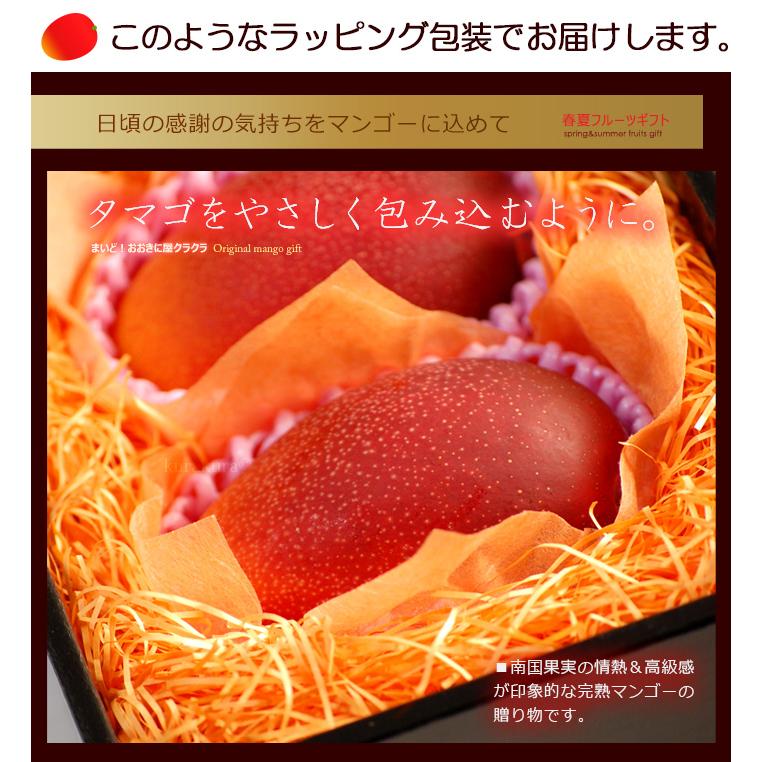 宮崎マンゴー (4L×2玉/約1020g) 宮崎産 秀品 宮崎完熟マンゴー 国産マンゴー アップルマンゴー アーウィン種 ギフト 贈答 国産 高糖度 マンゴー 母の日 父の日｜ookiniya｜08