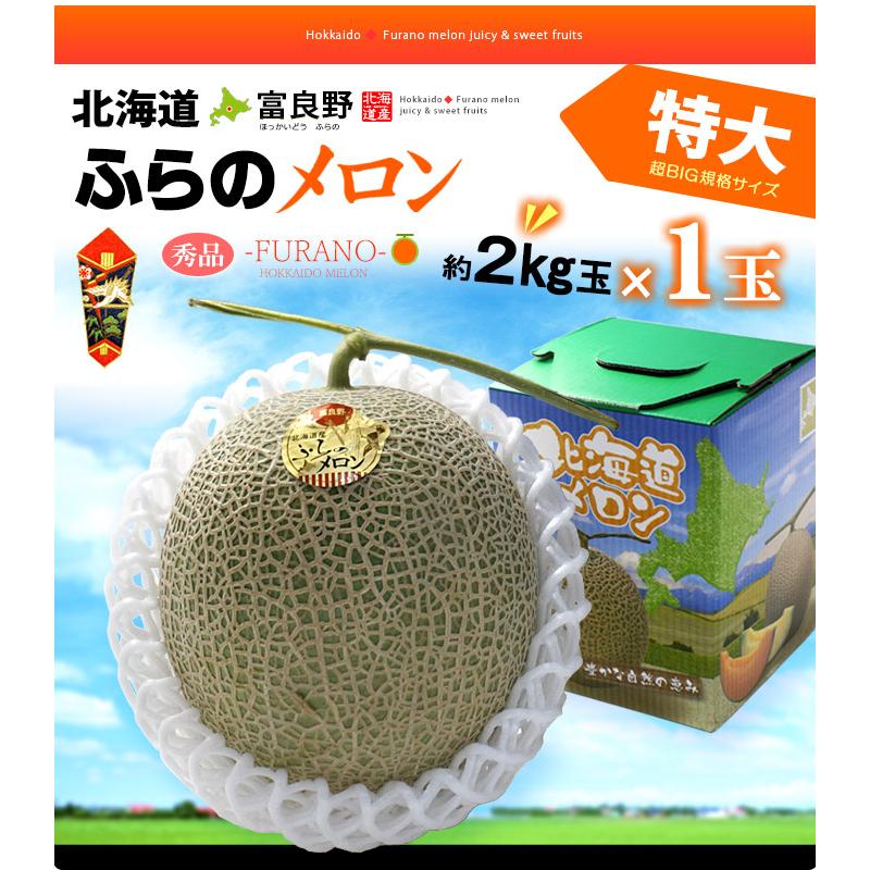 富良野メロン XL×1玉 (約2kg) 北海道産 秀品 赤肉 ふらのめろん 富良野めろん ふらのメロン 北海道 富良野 ふらの メロン めろん melon 大玉 ギフト お中元｜ookiniya｜08