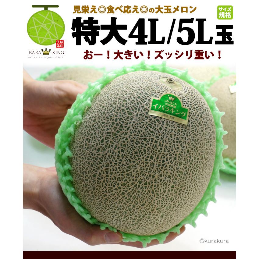 イバラキング 4L-5L×2玉 (約3.3kg) 茨城産 秀品 茨城王 メロン めろん 大玉 ほこた 鉾田 鉾田メロン いばらきんぐ 高糖度 甘い 青肉 メロン 父の日 ギフト 贈答｜ookiniya｜04