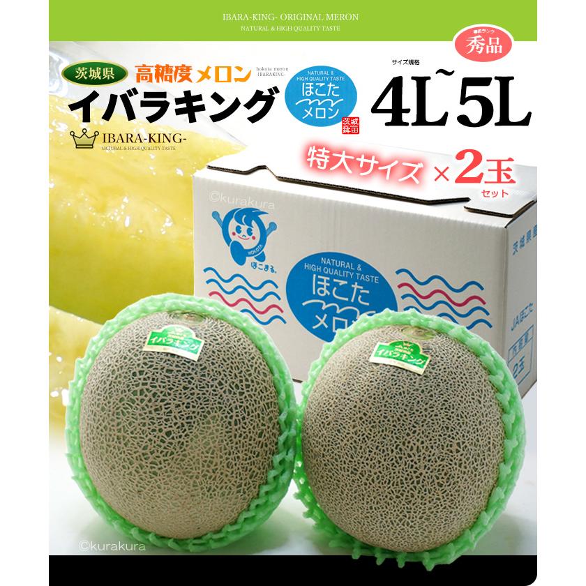 イバラキング 4L-5L×2玉 (約3.3kg) 茨城産 秀品 茨城王 メロン めろん 大玉 ほこた 鉾田 鉾田メロン いばらきんぐ 高糖度 甘い 青肉 メロン 父の日 ギフト 贈答｜ookiniya｜07