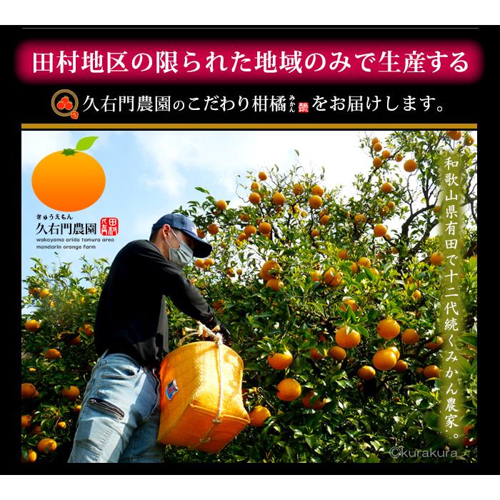 久右門農園 津之輝 みかん 秀品 (約3kg) 和歌山県有田郡湯浅町産 津の