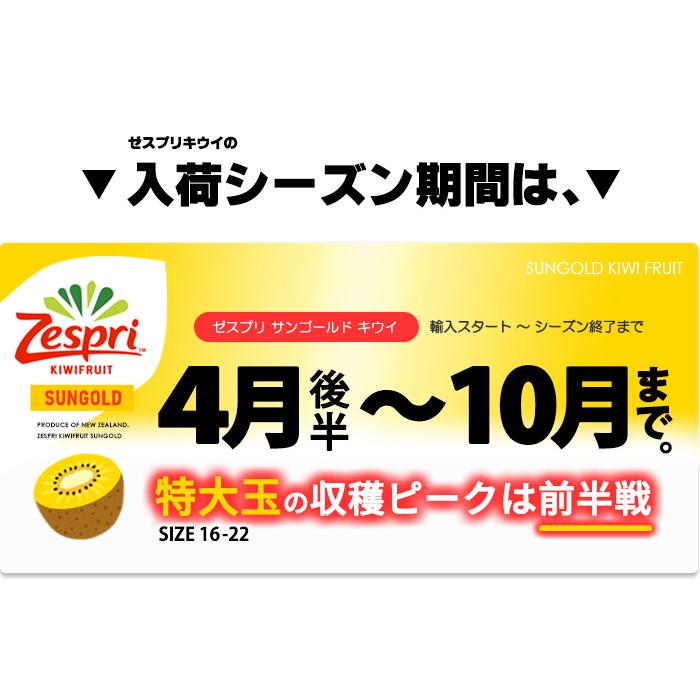 ゼスプリ サンゴールドキウイ (12玉前後/約2kg ゼスプリ サンゴールドキウイ (12玉前後/約2kg