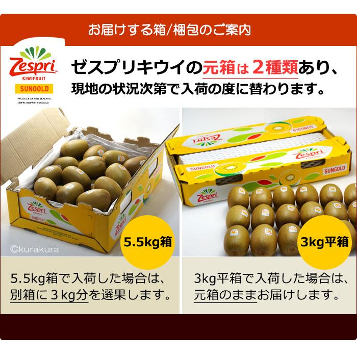 ゼスプリ サンゴールドキウイ (18玉前後/約3kg) ニュージーランド産